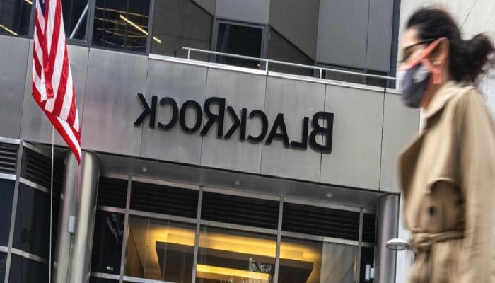 BlackRock CEO’su, Dijital Varlıkların Yararlarına Değindi