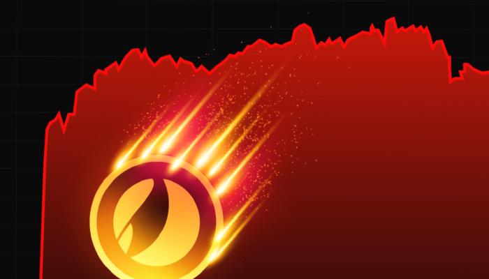 Bu 2 Altcoin Sıradaki LUNA mı? Sıfıra mı Gidiyor?