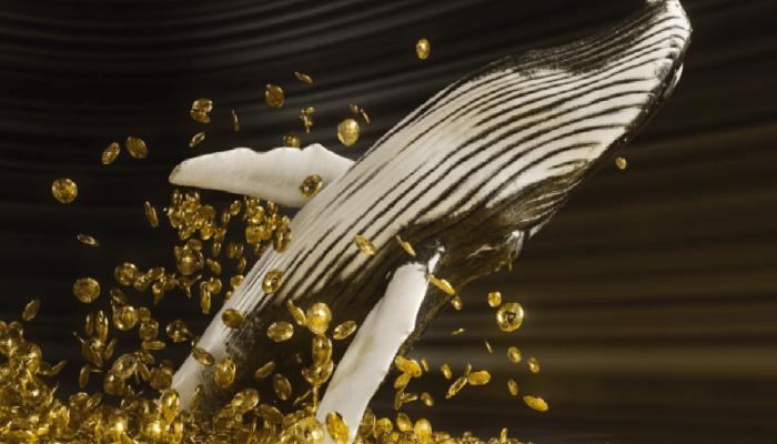 Bu Altcoin Binance’e Boşaltılıyor: Fiyat Erimeye Başladı!