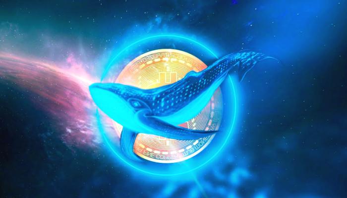 Bu Altcoin İçin 100x Beklentisi: Balinalar Hamle Etti!