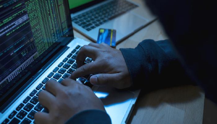 Bu Altcoin Yetkilileri Ortadan Kayboldu: Fiyat Çöktü!