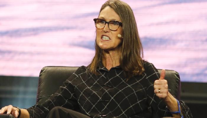 Cathie Wood, SEC ve Ripple Davasına Yönelik Konuştu