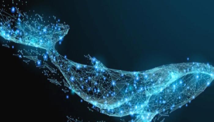 Chainlink (LINK) Balinası Uyandı!