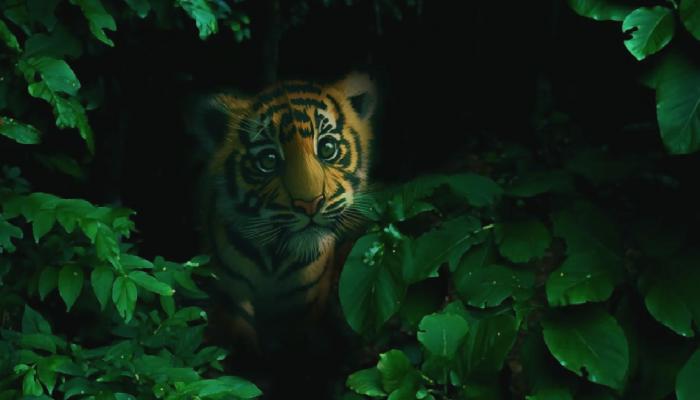 DAO Maker’ın CEO’su, Crypto Zoo’ya Alternatif Oyun Üretti