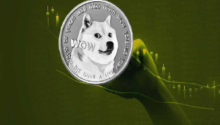 Dogecoin Analisti Uyardı: Balinalar Bu Düzeylerde Pusuda!