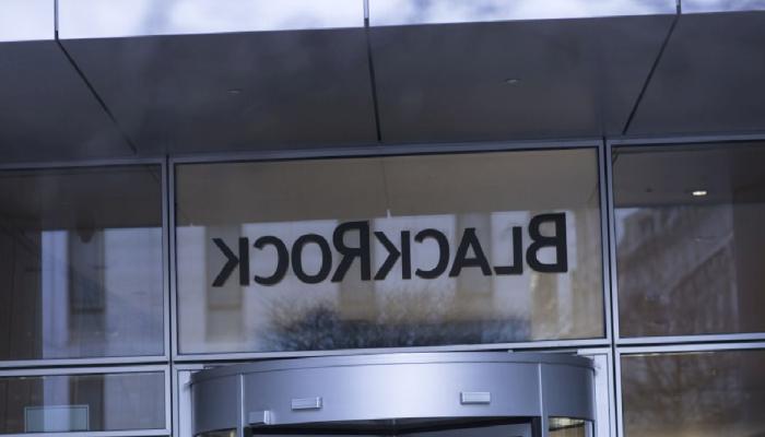 Dünyanın En Büyük Varlık Yöneticisi, Bu Kripto Paraları Seçti!