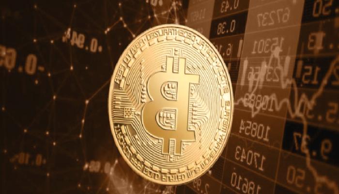 Efsane Analist Duyurdu: Artık Bu 13 Altcoin İzlenmeli!