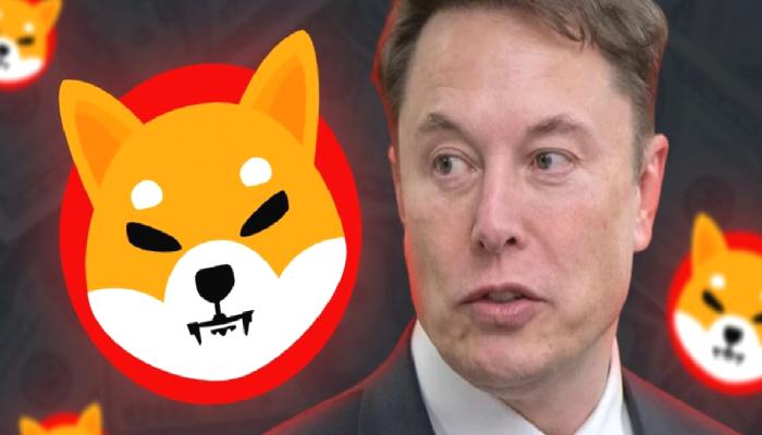 Elon Musk’ın Tweet’ine, Shiba Inu’dan Yanıt!