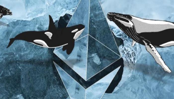 Ethereum (ETH) Balinası Harekete Geçti