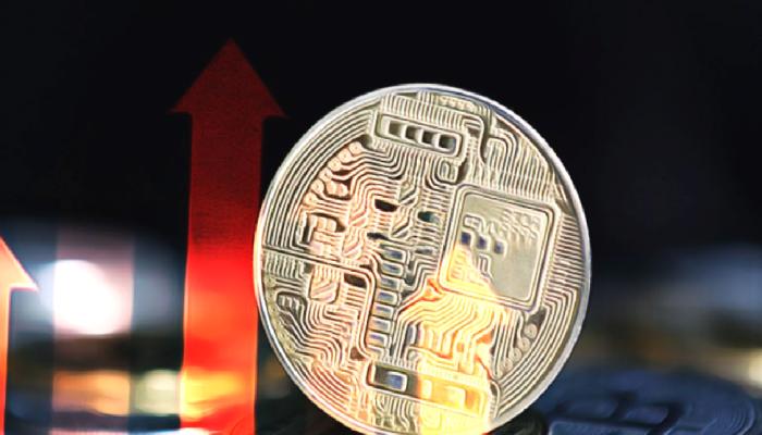 Gizemli Fon, Milyonlarca Altcoin Çekti: Fiyatı Yükseltti!