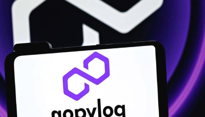 Immutable ve Polygon Labs, Web3 İçin İş Birliği Yapıyor