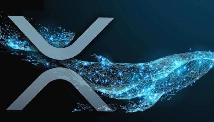 Kripto Balinaları Ripple ve Bu Altcoinlere Yükleniyor!
