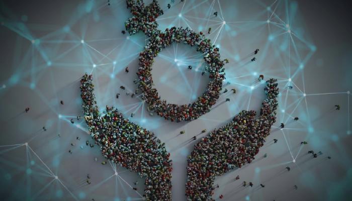 Kripto Para Ekosistemi ve Bayanlar