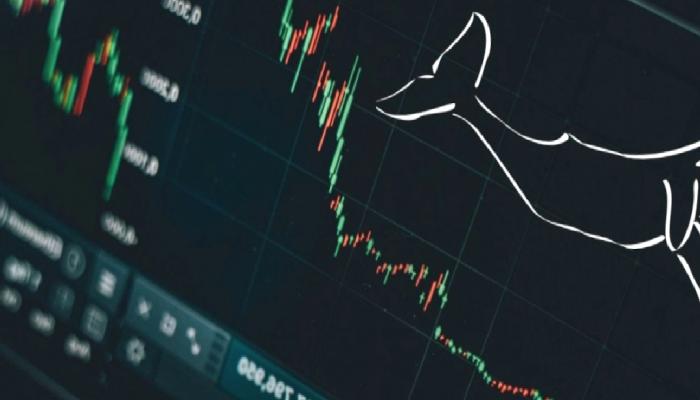 Liste Şaşırttı: Kripto Para Balinaları Bu 3 Coine Saldırdı!