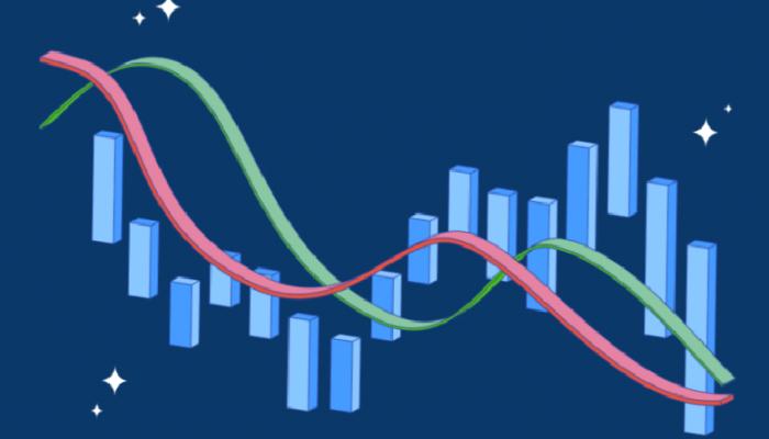 Milyonluk Takipçili Analist: Bu 2 Altcoin 80x Yapabilir!