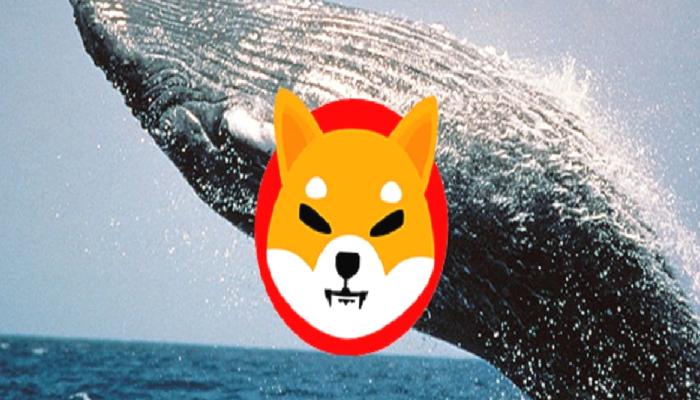 Sepetinde SHIB ve Bu 5 Altcoin Olan Balina, Satışa Başladı!
