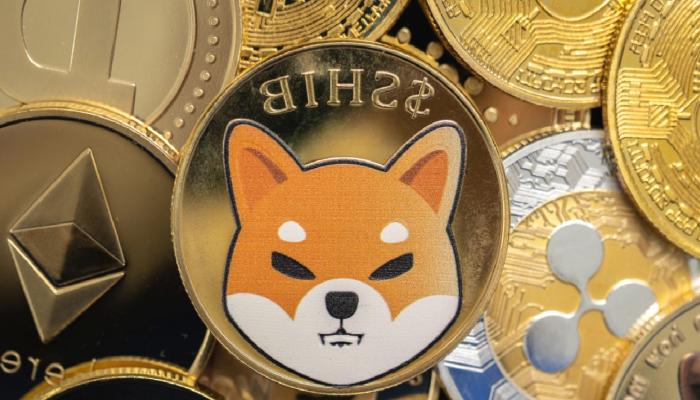 SHIB, ONT ve Bu 15 Coin İçin Müjde: 2 Yeni Paydaşlık Var!