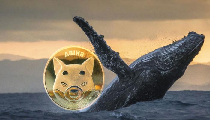 Shiba Inu Balinasının Yeni Avı Bu Altcoin: Büyük Kâr Aldı!