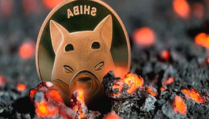 Shiba Inu (SHIB) için Büyük Duyuru: Yakım Devam Ediyor!