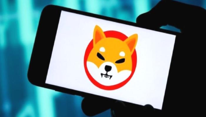 Shiba Inu (SHIB) için Tehlike Çanları mı Çalıyor?