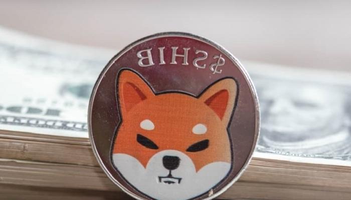 Shiba Inu (SHIB) Sizi Milyoner Yapabilir mi?