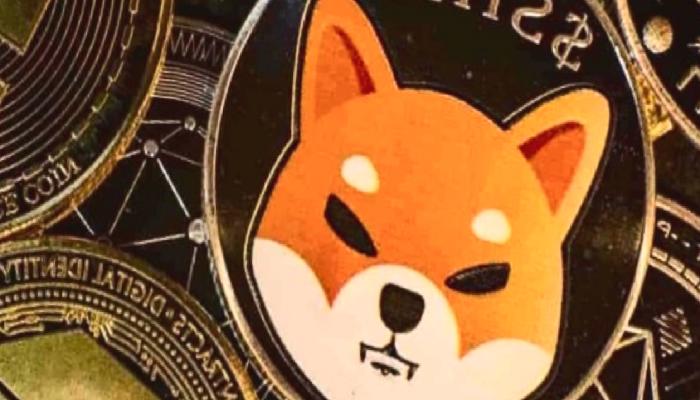 Shiba Inu (SHIB)’yu Unutun: İşte Potansiyelli 10 Altcoin!