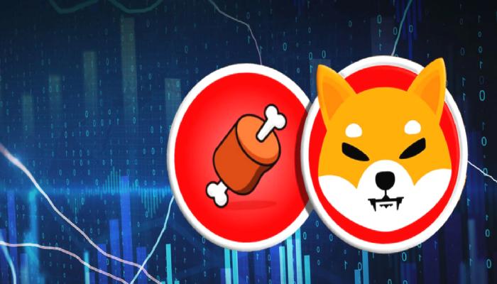 Shiba Inu Skandalı Büyüyor: Coinler Tasfiye Ediliyor!