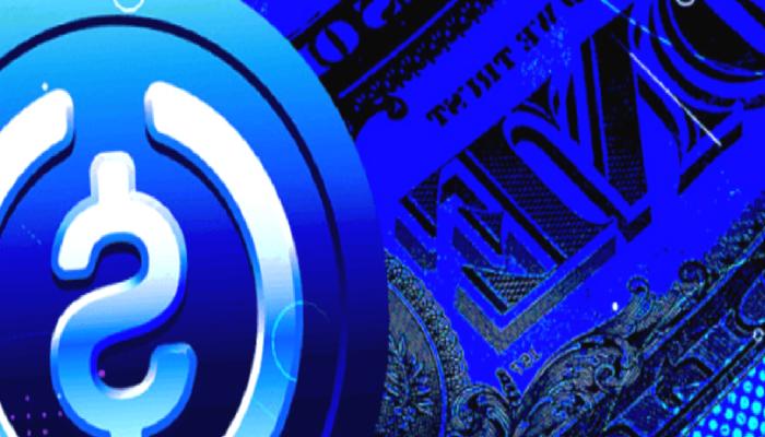 USDC Satan Şirket, Türklerin Favori Altcoin’i Aldı!