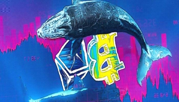 12 Yıldır Uyuyan BTC ve ETH Balinaları Uyandı! Satacaklar mı?