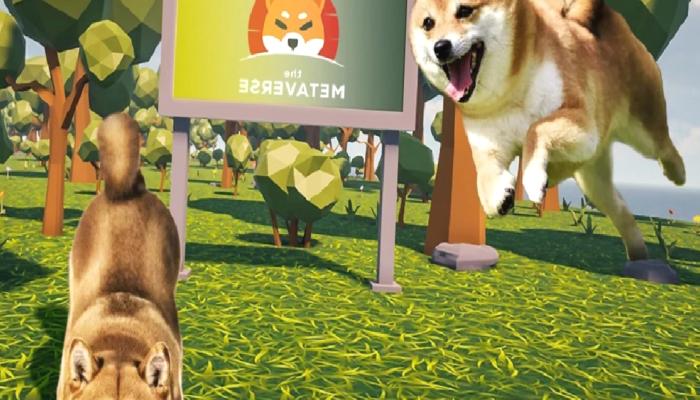 55 Uzman: Shiba Inu (SHIB) Bu Düzeyleri Görebilir!