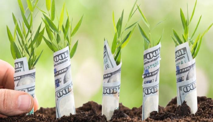 Aleph Zero 50 Milyon Dolarlık Fon Başlattı