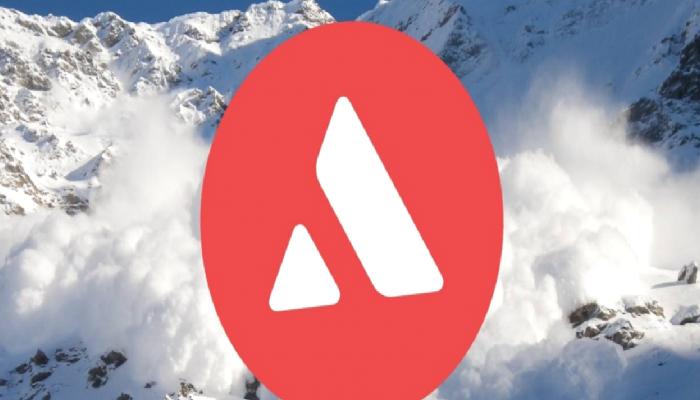 Avalanche’ın Alt Ağını Test Edecek Firmalar Arttı
