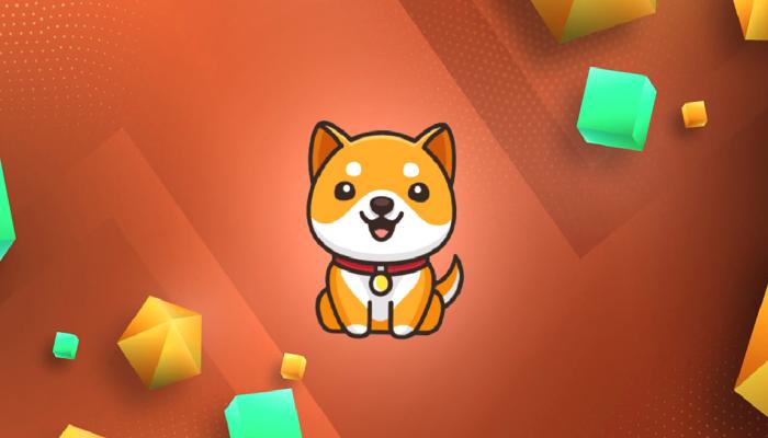 Baby Doge Coin (BabyDoge), Kısa Müddette Yüzde 72 Arttı!
