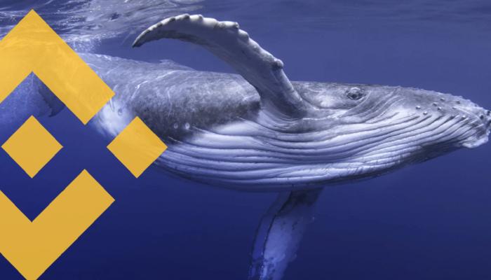 Balinalar, Binance’de Bu Altcoin’den Muazzam Ölçüde Sattı!