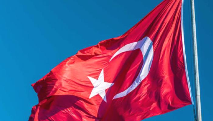 Balinaların Çokça Aldığı Altcoin, Türkiye Duyurusu Yaptı!