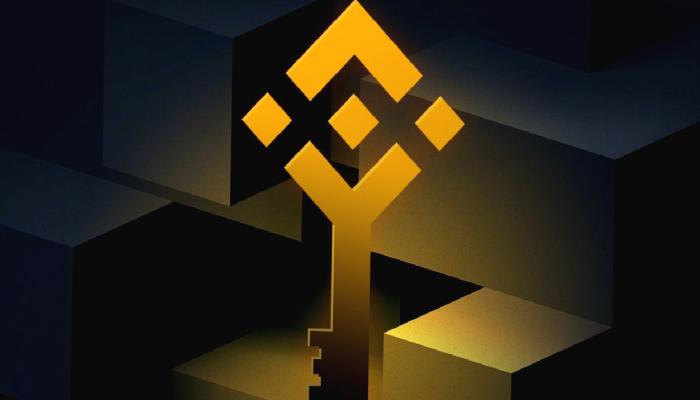 Binance ve Bu Altcoin İştirak Kurdu: İşte Detayları!