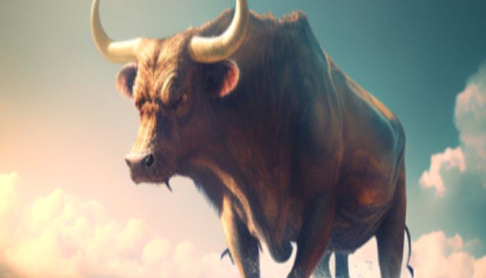 Binance’deki Bu 4 Altcoin Boğa Piyasası Hazırlığında!