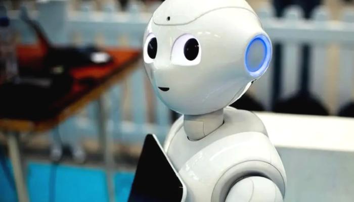 Bir Bot, PEPE ve WOJAK ile Büyük Kâr Kaldırdı! Nasıl mı?