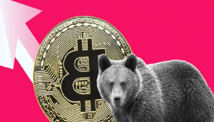 Bitcoin Ayı Piyasası Bitti mi? Sıradaki Düzeyler Neler?