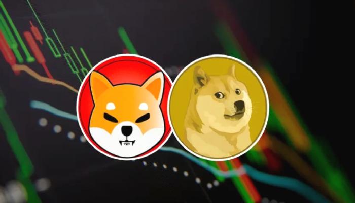 CNBC’den SHIB, DOGE Kestirimi: 50x Muştusu de Var!