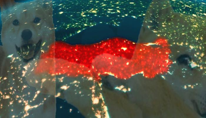CoinGecko Türk Kripto Yatırımcı Raporunu Yayımladı