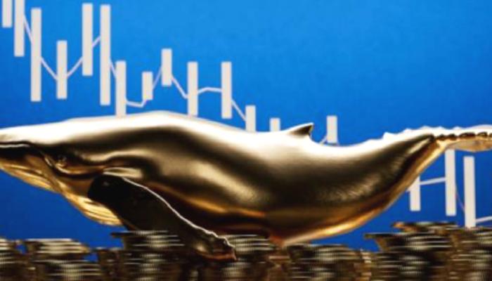 Dev Balina, Milyarlarca Altcoin Sattı! Fiyat Ne Oldu?