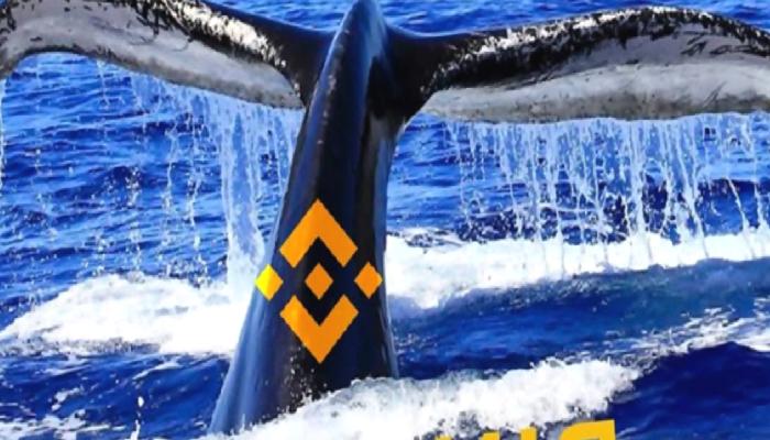 Dev Balinalar, Bu Altcoin Varlıklarını Binance’e Boşalttı!