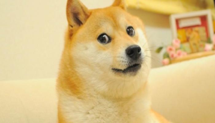 DOGE Kurucusundan Kripto Yatırımcılarına Tenkit