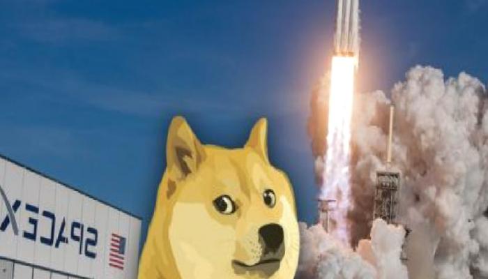Dogecoin Elon Musk Haberiyle Sert Düştü!