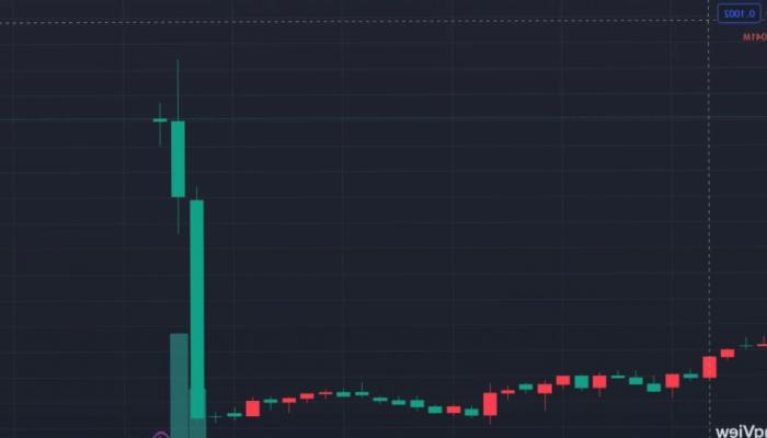 DOGE’un Fiyatı Süratle Tırmanıyor!