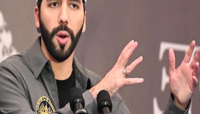 El Salvador’dan Bitfinex’e Lisans