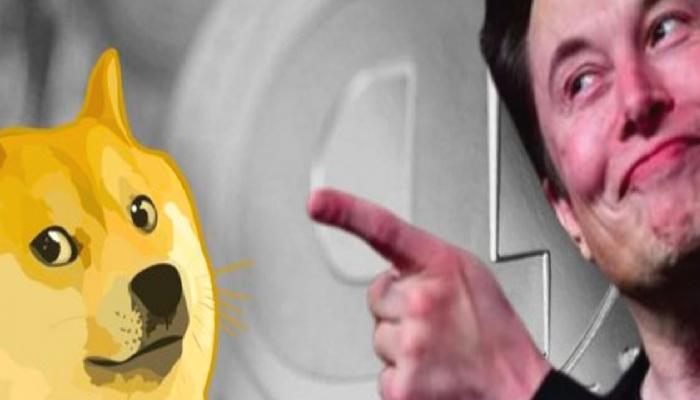 Elon Musk, Dogecoin Davasından Kurtulmak İstiyor