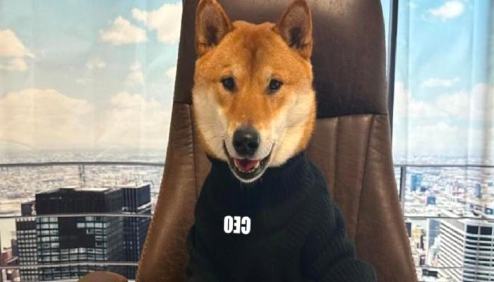 Elon Musk Neyi Amaçlıyor? DOGE ve Twitter Argümanları