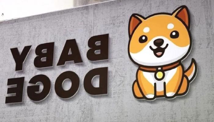 KuCoin’den Baby Doge Coin (BabyDoge) Duyurusu Geldi